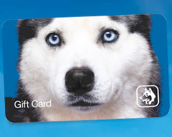 Husky Gift Card 275x220